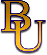 bellevue university ne salary payscale